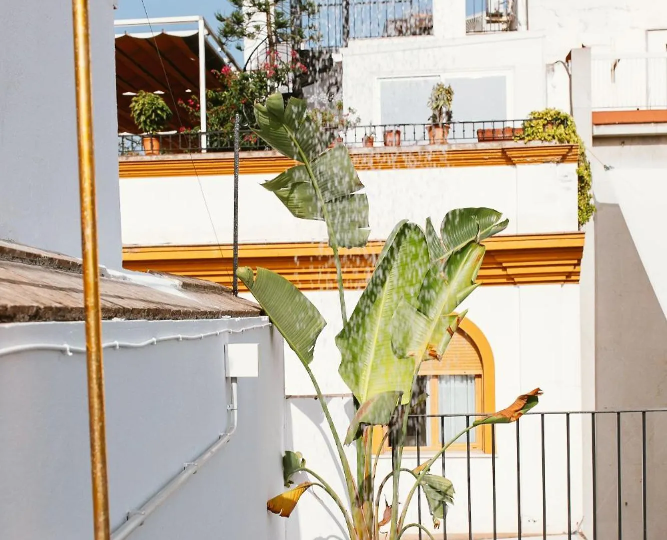 Appartement Lujoso Apartamento Con Piscina Compartida 3 Sevilla Spanje